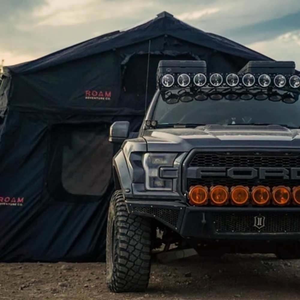 Meet your Posher, Bo